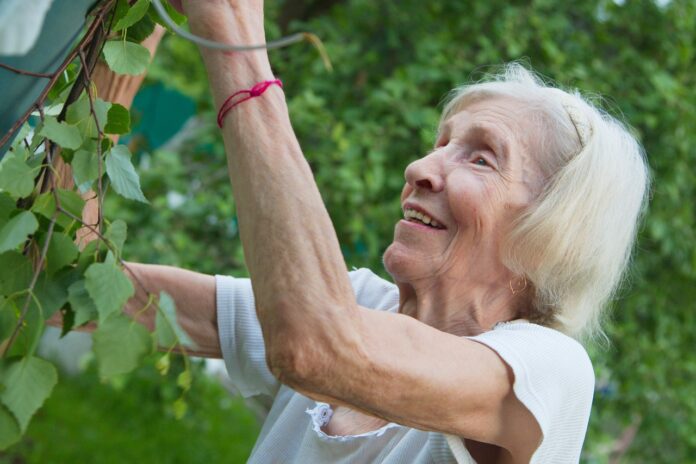 Organic Gardening