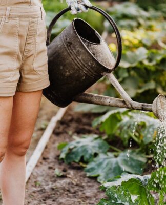 Hydroponic Gardening