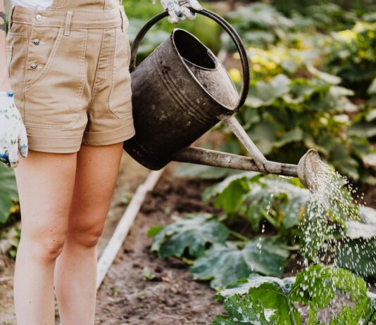 Hydroponic Gardening