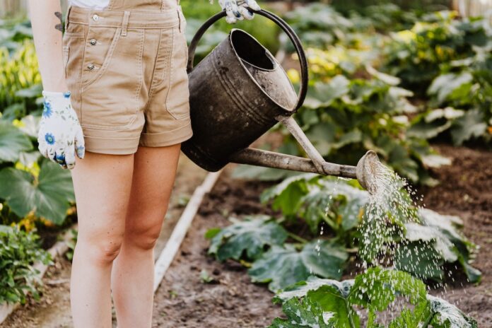 Hydroponic Gardening