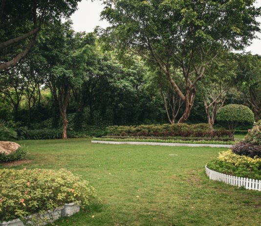Planting Trees and Shrubs